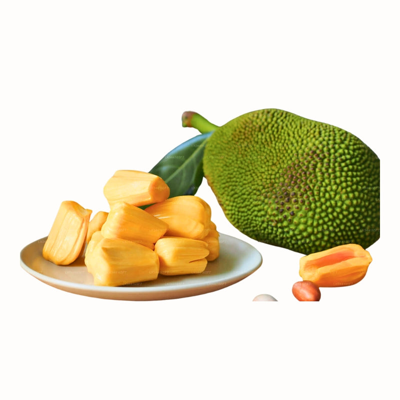 Sri Lanka Jackfruit Kaufen Frisch Frische Jackfrucht Jackfrucht
