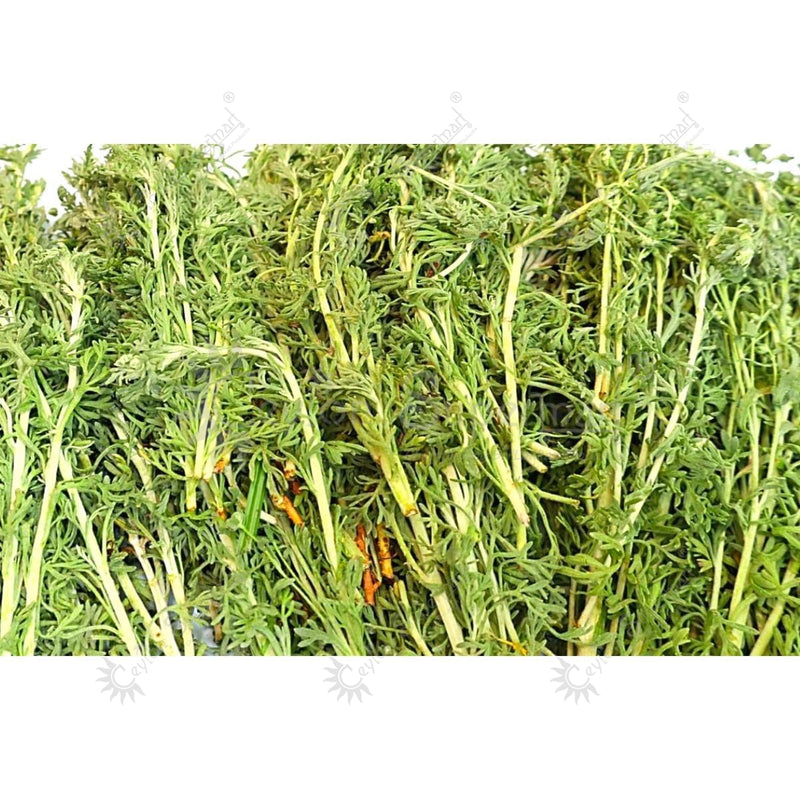 marikolunthu plant seeds Ceylon Supermart Fresh Marikolunthu Branch 500g