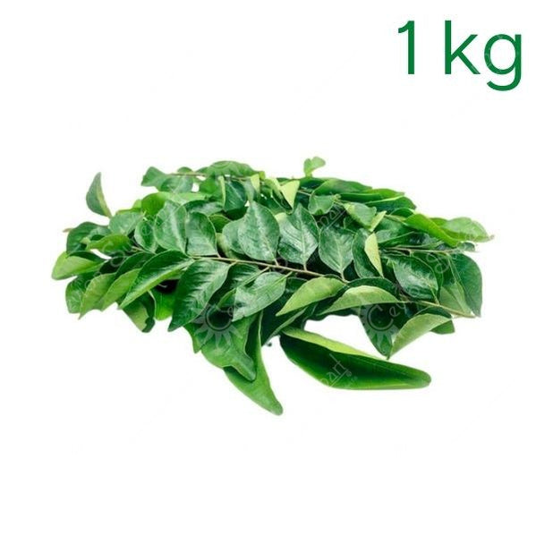 Buy Fresh Curry Leaves 1kg from Ceylon Supermart in the UK
