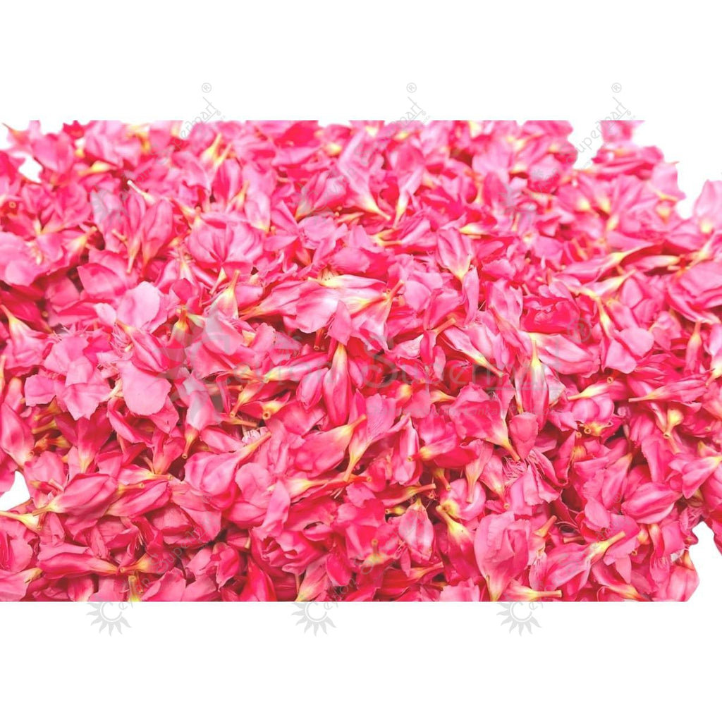 Fresh Pink Oleander Flowers Arali 500g Flower Shop