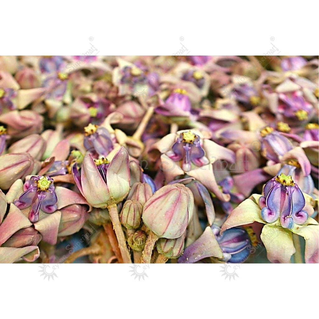 Fresh Ericambu Flowers | Crown Flowers 500g Flower Shop