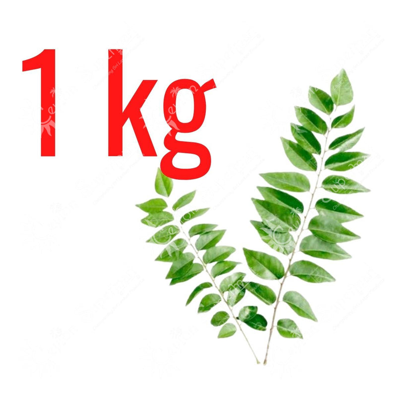 Fresh Curry Leaves 1kg Ceylon Supermart