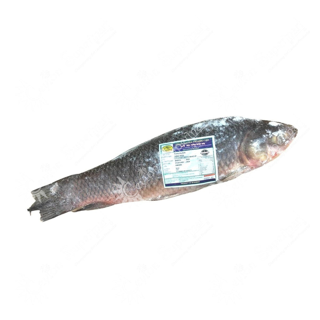 Frozen Rohu Whole Fish | Each 3 - 4 kg Brand Maryam