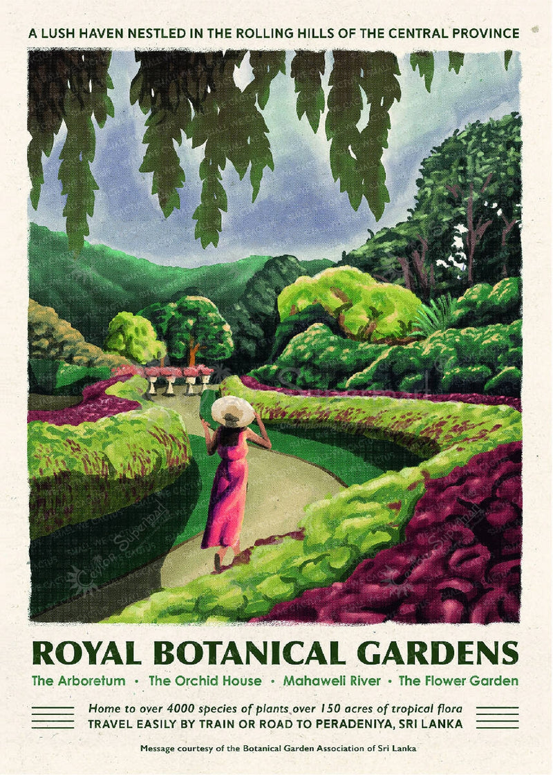 Shall We Cactus - Royal Botanical Gardens, Peradeniya A1 Poster Shall We Cactus